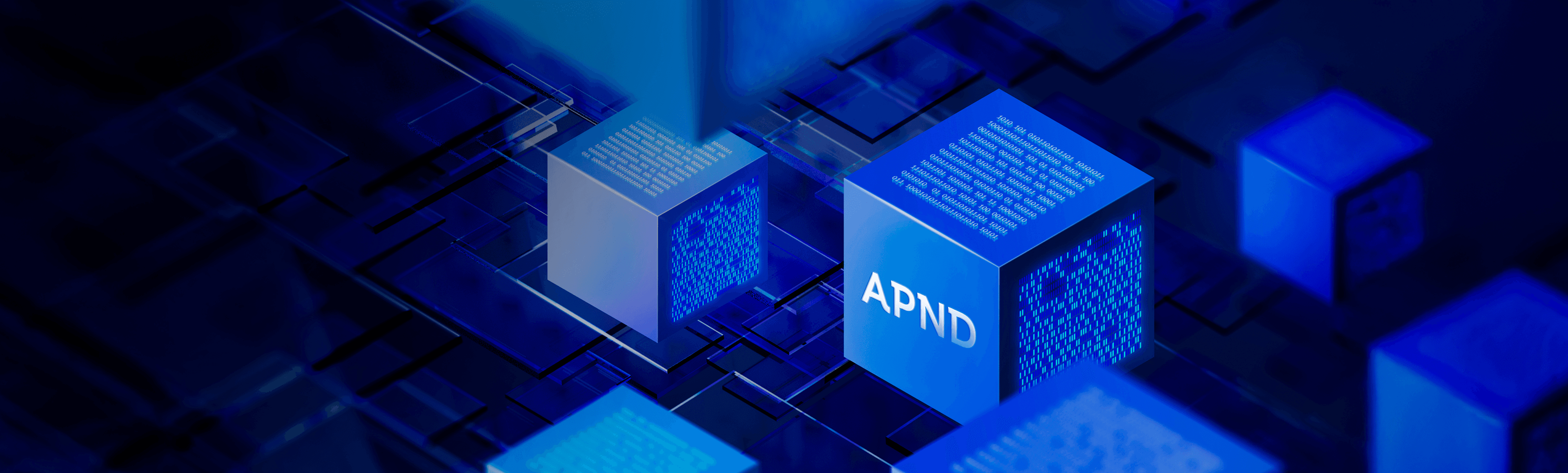 APND Cube Banner
